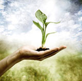 Principles of Naturopathy